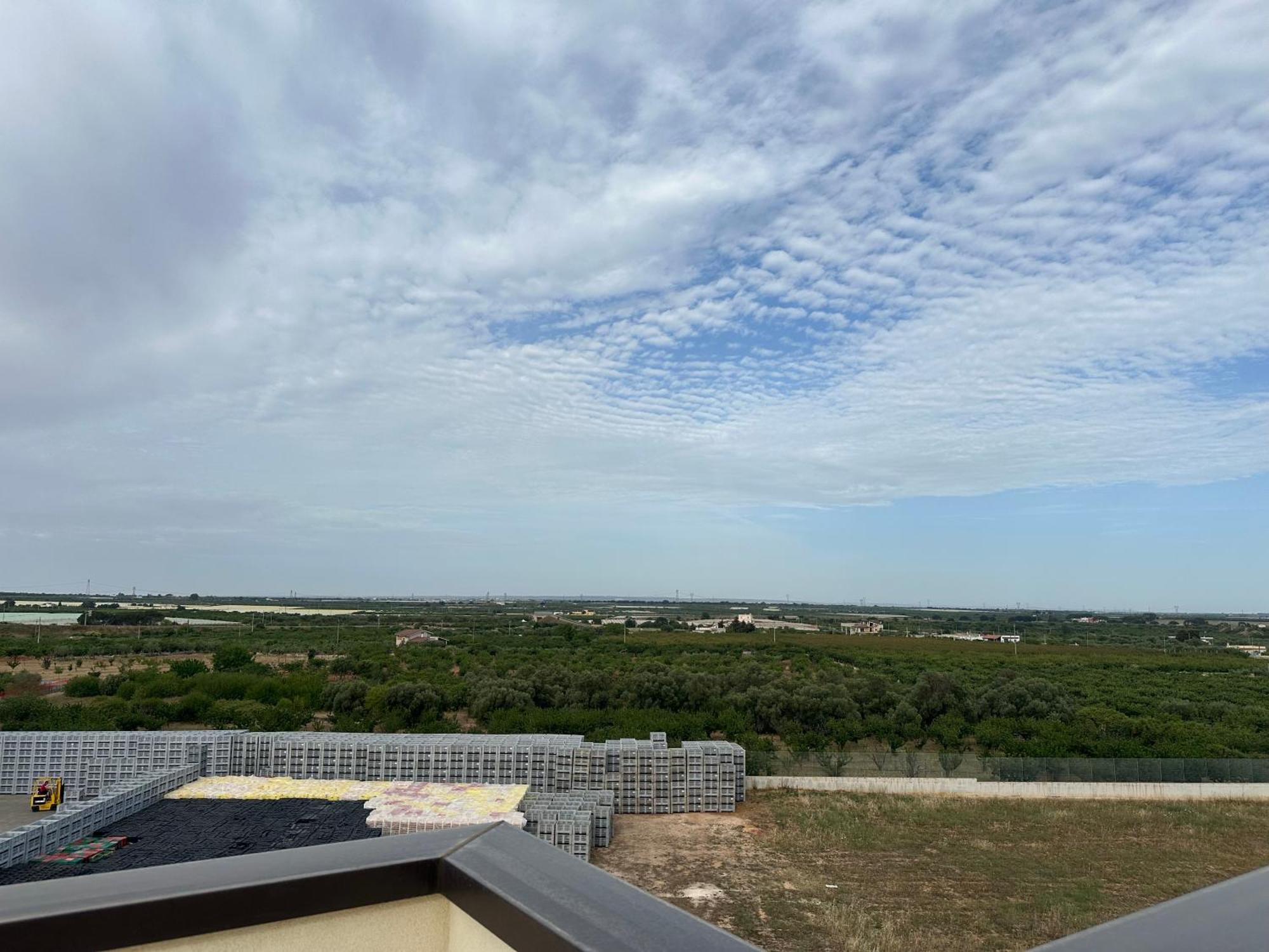 Attico Al Sovrano - Nel Cuore Della Puglia! Turi Exterior foto